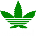 Cannabis
