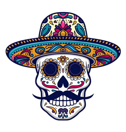 Collection image for: Skulls