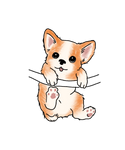 Cute