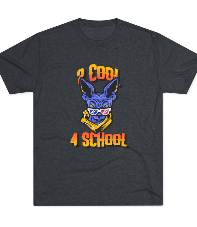 2 Cool 4 School Tri-Blend T-Shirt