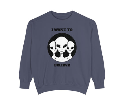 I Want To Believe Premium Sweatshirt