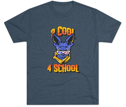 2 Cool 4 School Tri-Blend T-Shirt