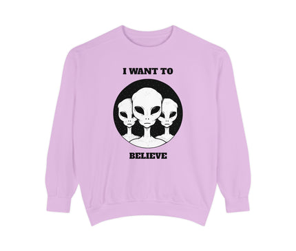 I Want To Believe Premium Sweatshirt