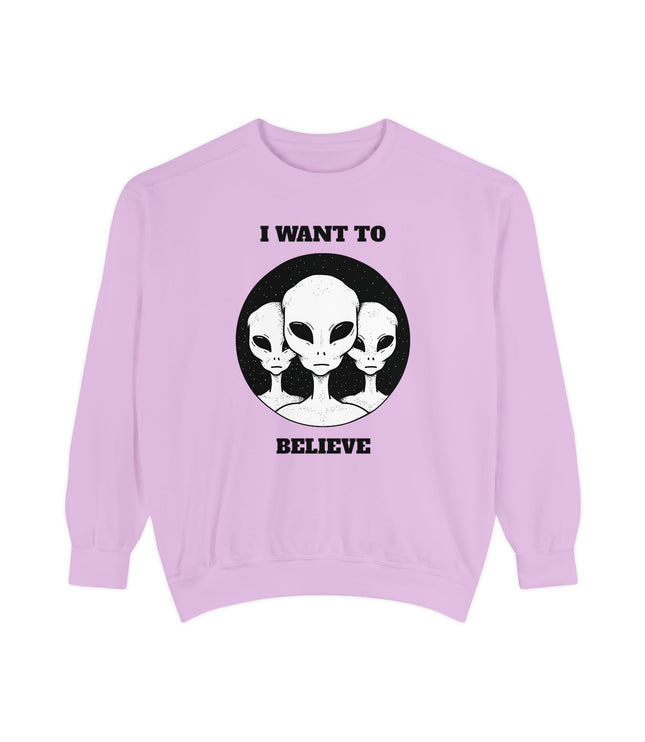 I Want To Believe Premium Sweatshirt