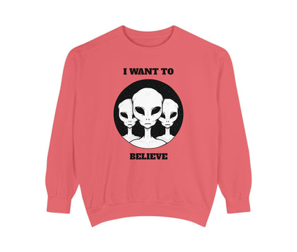 I Want To Believe Premium Sweatshirt