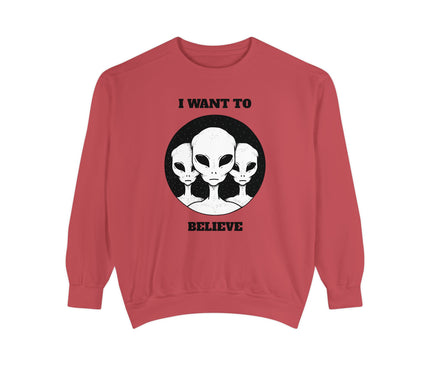 I Want To Believe Premium Sweatshirt