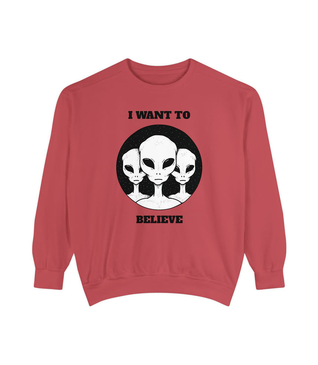 I Want To Believe Premium Sweatshirt