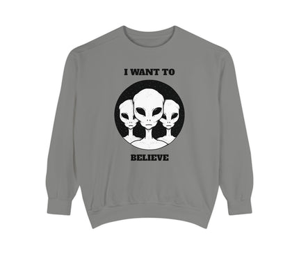 I Want To Believe Premium Sweatshirt