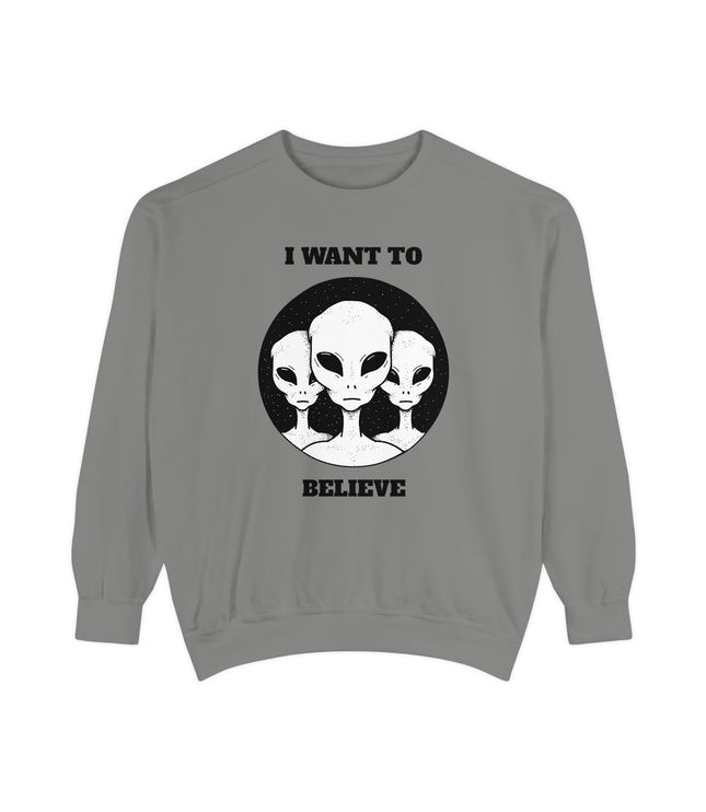 I Want To Believe Premium Sweatshirt