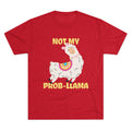 Tri-Blend Vintage Red / S