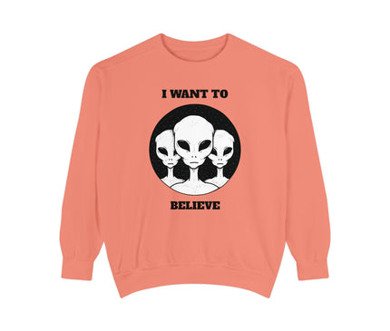 I Want To Believe Premium Sweatshirt