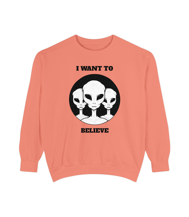 I Want To Believe Premium Sweatshirt
