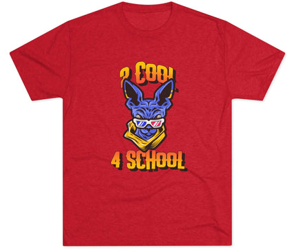 2 Cool 4 School Tri-Blend T-Shirt
