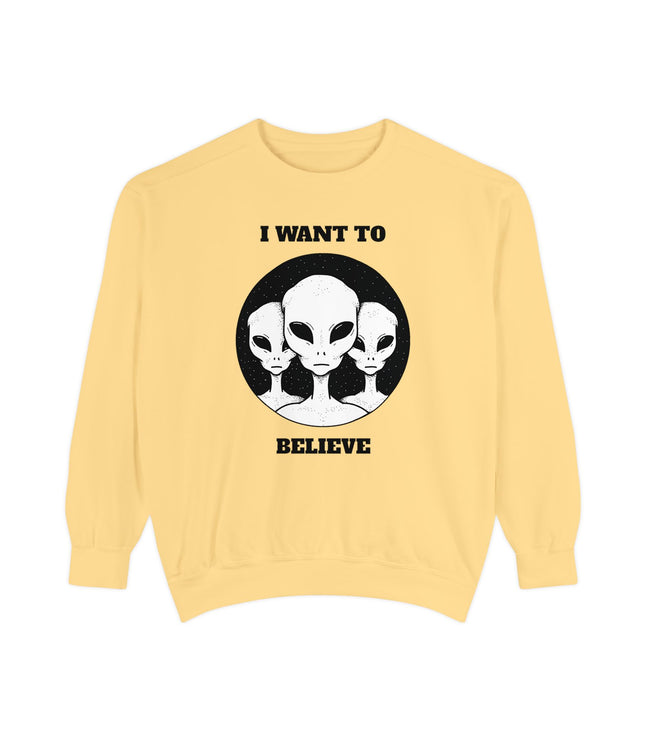 I Want To Believe Premium Sweatshirt