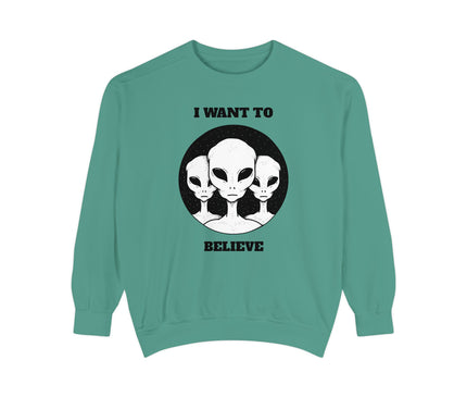 I Want To Believe Premium Sweatshirt