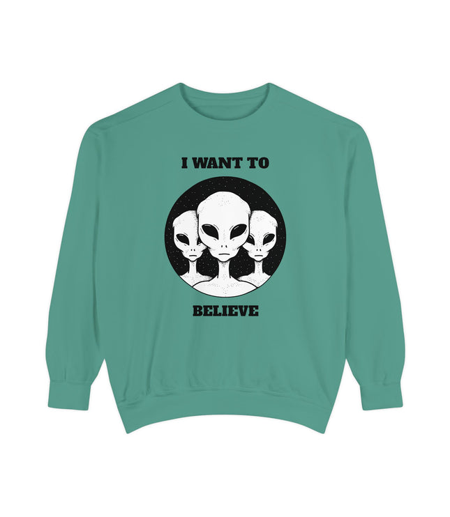 I Want To Believe Premium Sweatshirt