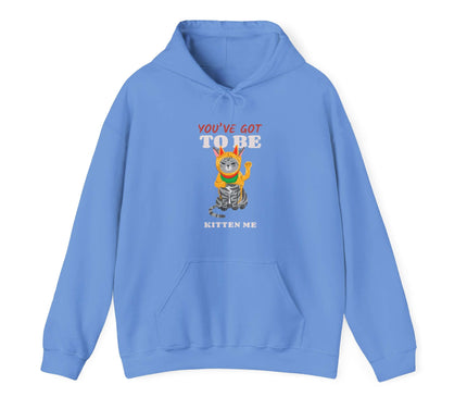 You've Got To Be Kitten Me Classic Hoodie