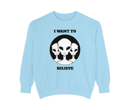 I Want To Believe Premium Sweatshirt