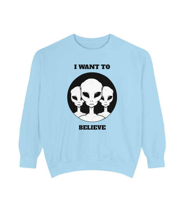 I Want To Believe Premium Sweatshirt