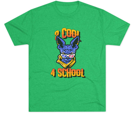 2 Cool 4 School Tri-Blend T-Shirt
