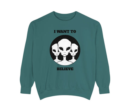 I Want To Believe Premium Sweatshirt