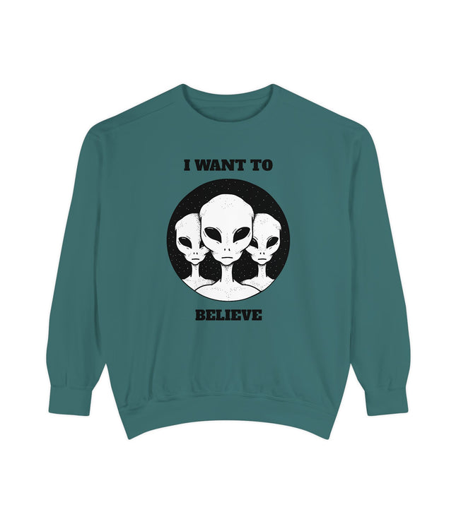 I Want To Believe Premium Sweatshirt