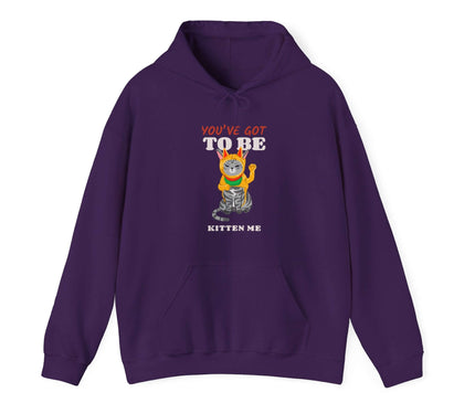 You've Got To Be Kitten Me Classic Hoodie