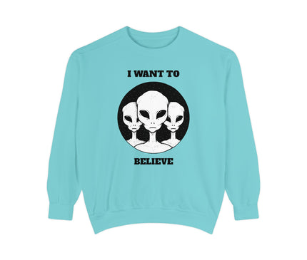 I Want To Believe Premium Sweatshirt