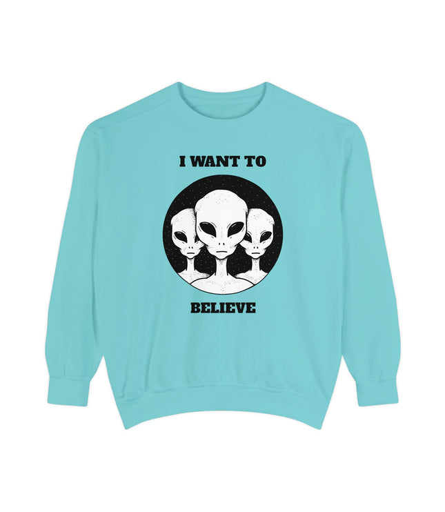 I Want To Believe Premium Sweatshirt