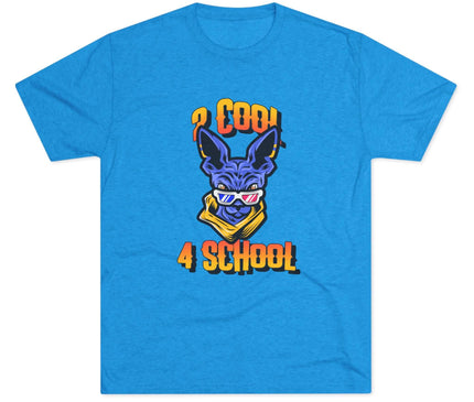 2 Cool 4 School Tri-Blend T-Shirt
