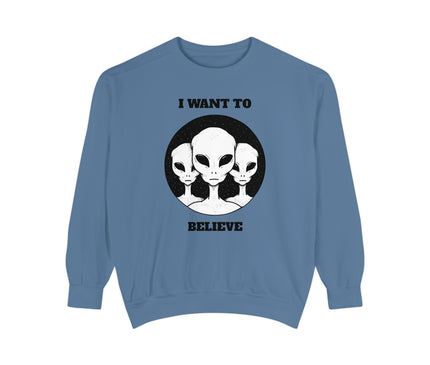 I Want To Believe Premium Sweatshirt