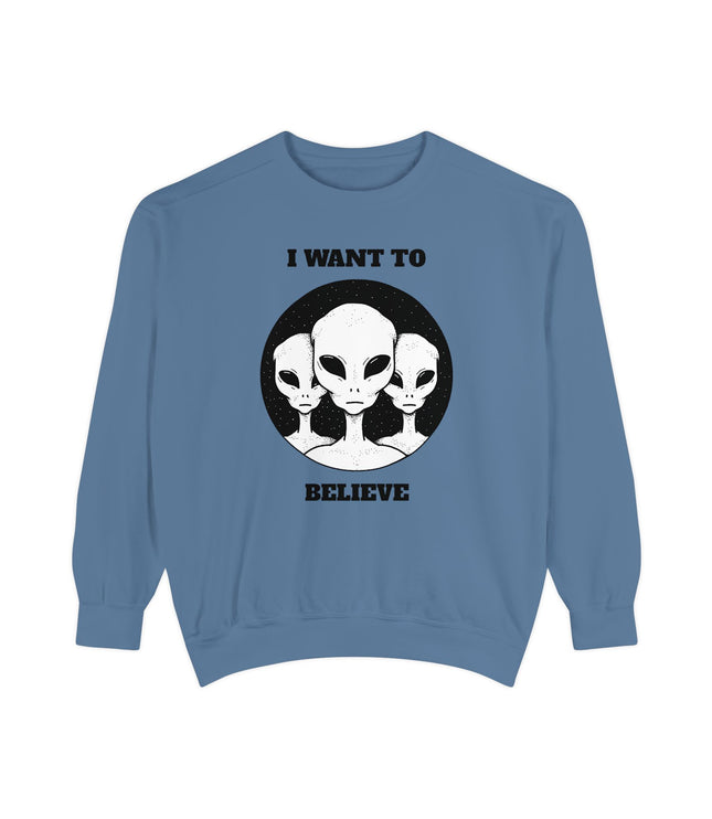 I Want To Believe Premium Sweatshirt