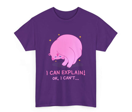 I Can Explain Classic T-Shirt