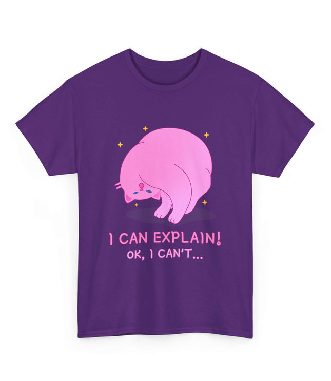 I Can Explain Classic T-Shirt
