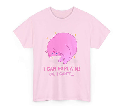I Can Explain Classic T-Shirt
