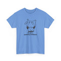 Carolina Blue / S