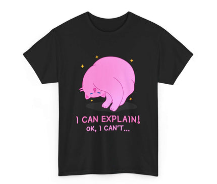 I Can Explain Classic T-Shirt