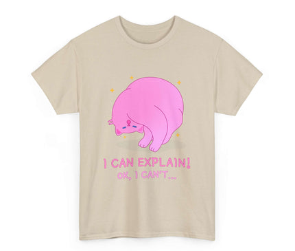 I Can Explain Classic T-Shirt