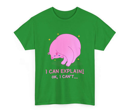 I Can Explain Classic T-Shirt