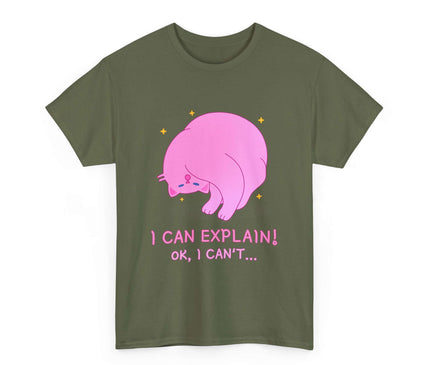 I Can Explain Classic T-Shirt