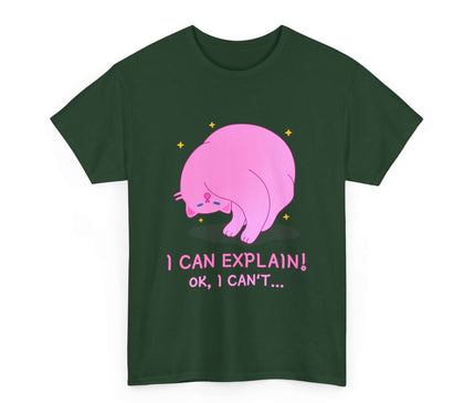 I Can Explain Classic T-Shirt