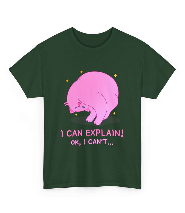 I Can Explain Classic T-Shirt