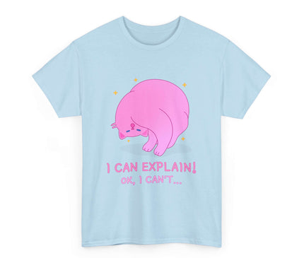I Can Explain Classic T-Shirt