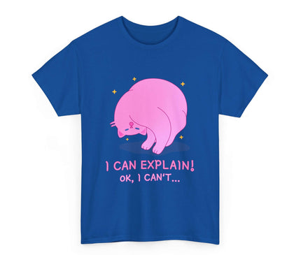 I Can Explain Classic T-Shirt