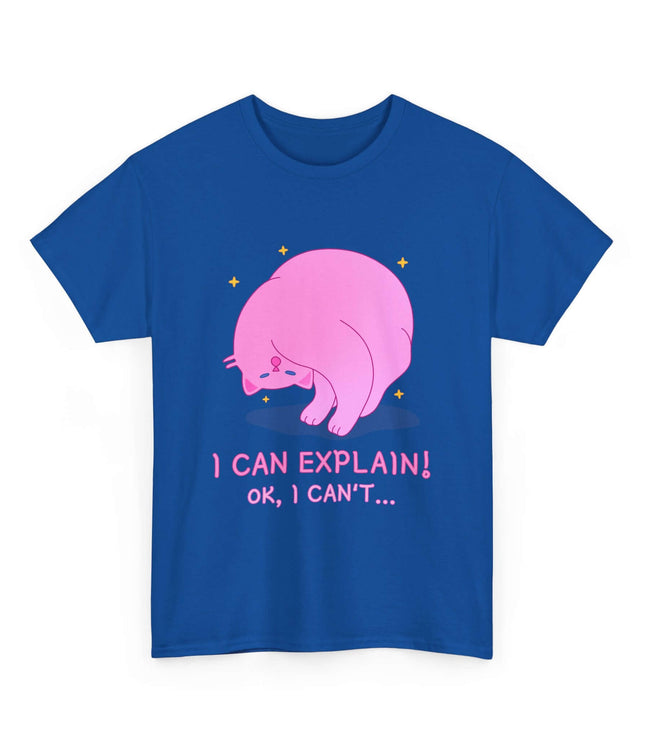 I Can Explain Classic T-Shirt
