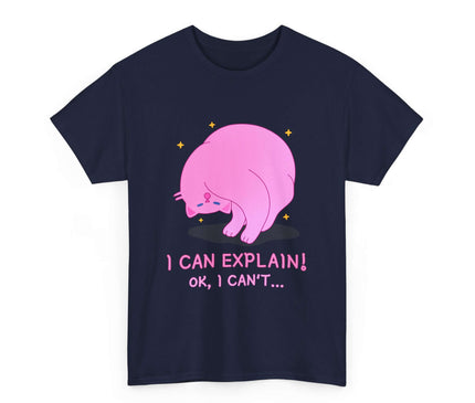 I Can Explain Classic T-Shirt