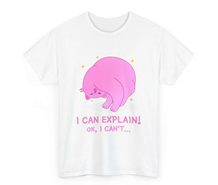 I Can Explain Classic T-Shirt