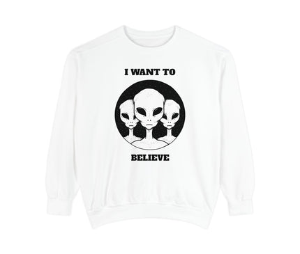 I Want To Believe Premium Sweatshirt
