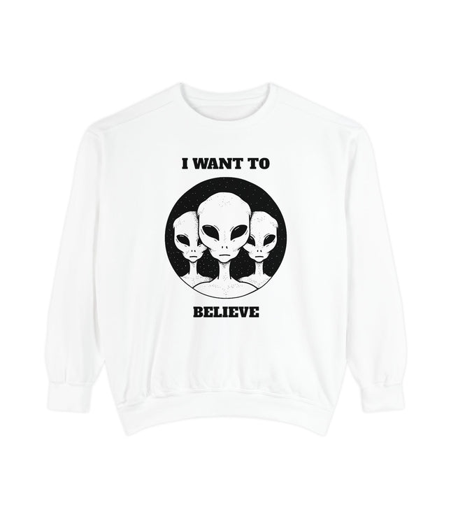 I Want To Believe Premium Sweatshirt