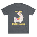 Tri-Blend Premium Heather / S
